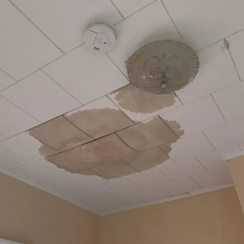 Ceiling Water Damage Repair in Champlin, MN