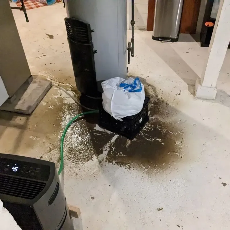 Sewage Backup Cleanup Service in Champlin, MN